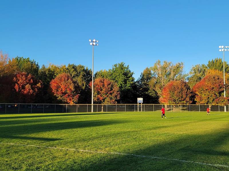 Willow Lane Park Pickleball Courts courts