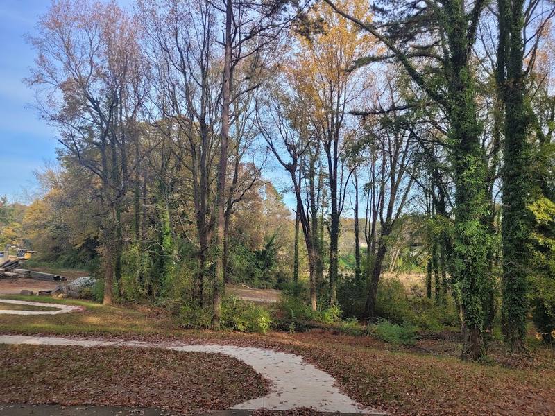 Martin Luther King Park Pickleball Courts courts