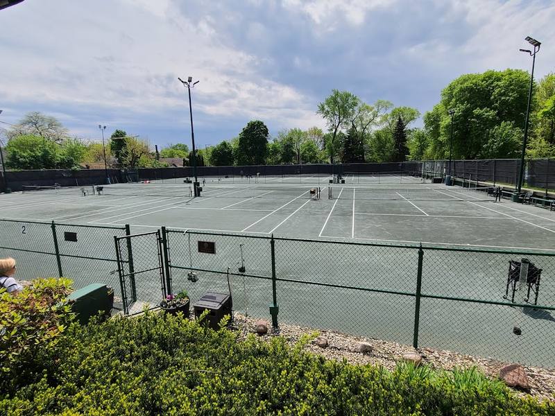 Cosme Park Pickleball Courts courts