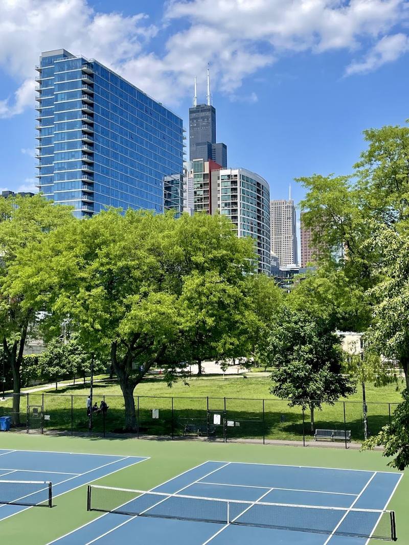 Roosevelt Park Pickleball Court courts