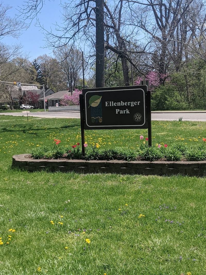 Ellenberger Park Pickleball Courts courts