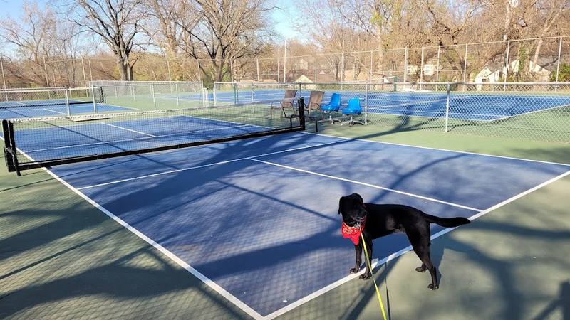 Brookside Park Pickleball Courts courts
