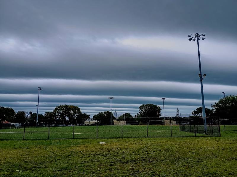 Douglas Park Pickleball Courts courts