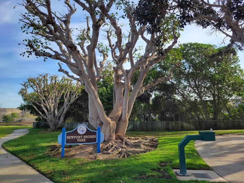 62nd Street Pickleball (Newport Shores) courts