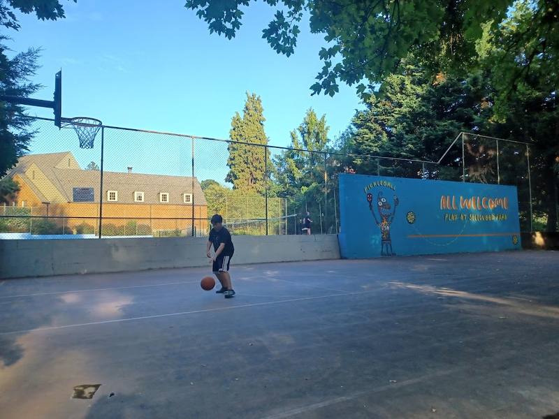 Sellwood Park Pickleball Courts (Sellwood-Moreland) courts