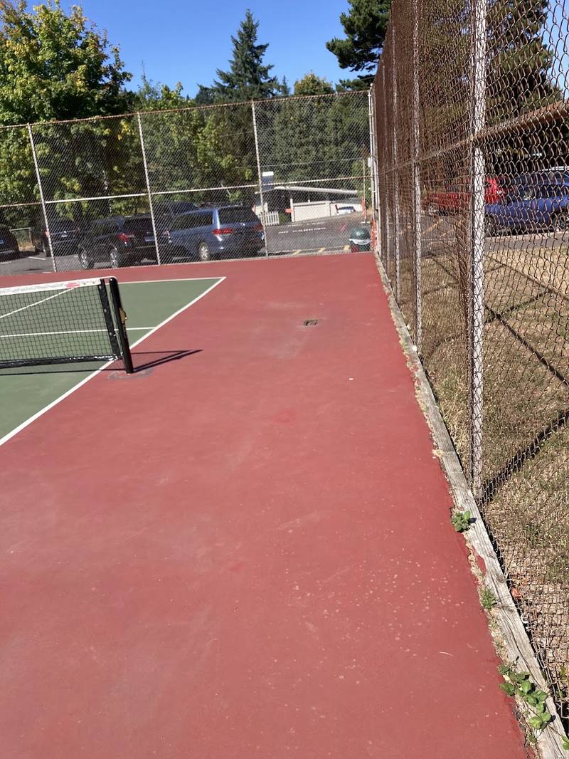 Ida B. Wells-Barnett Pickleball Courts courts