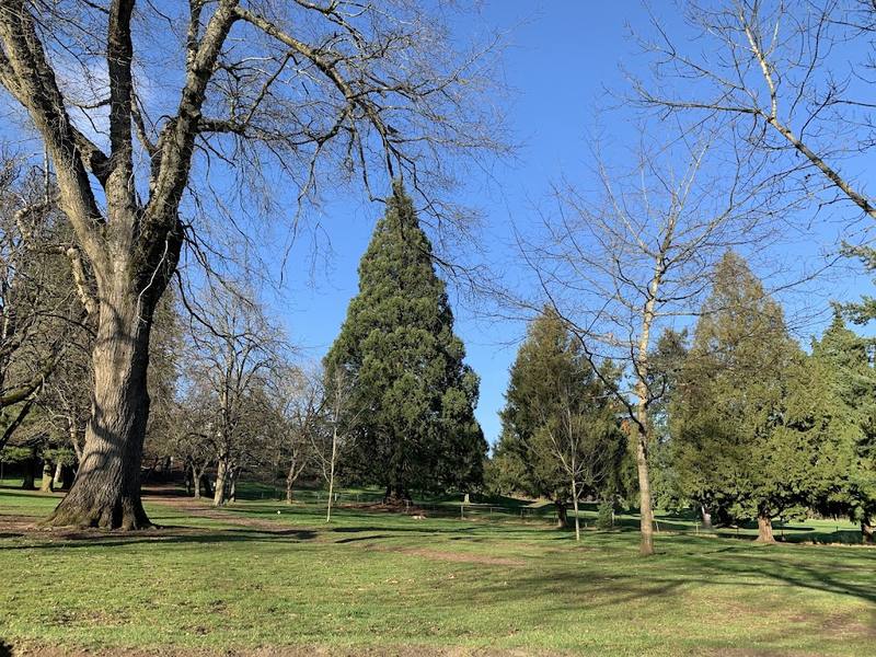 Rose City Park Pickleball Courts courts