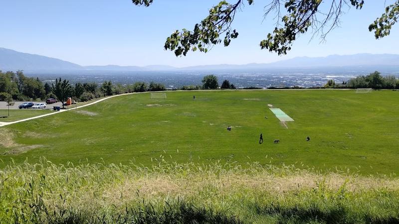 11th Avenue Park Pickleball Courts courts